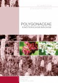 Polygonaceae – Knöterichgewächse
