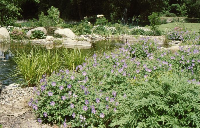 Teich neu gebaut