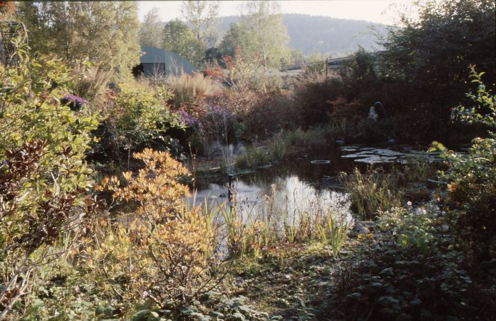 Teich im Herbst