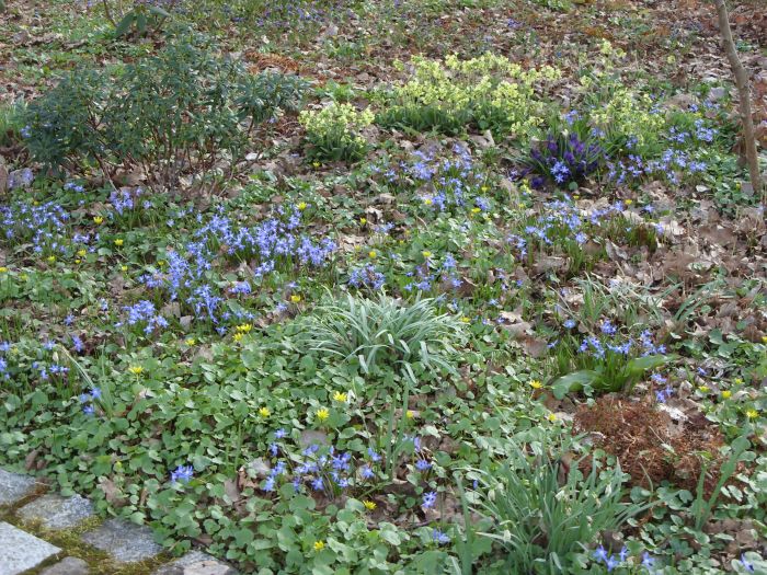 Waldgarten