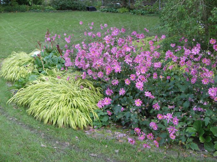 Waldgarten