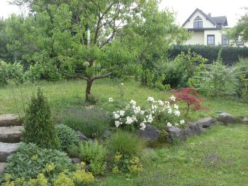 Bereich hinter Carport