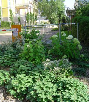 Geriatriegarten Klinikum Coburg