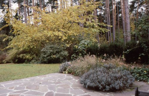 Blick von unterer Terrasse.jpg