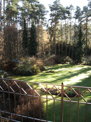 Blick vom Balkon.jpg