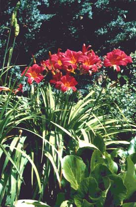 Wochenendhaus-Garten in Rödental-Mönchröden