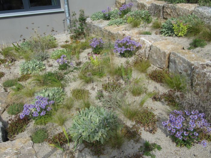 Mauerbeet an unterer Terrasse