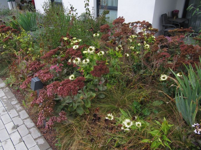 Pflanzung im Innenhof am Haus B