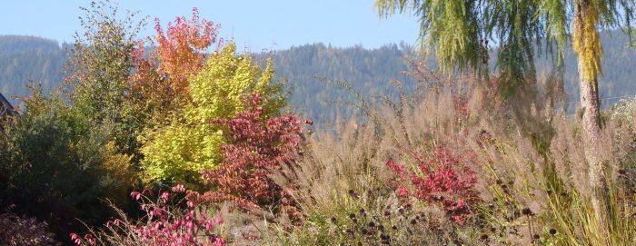 Hausgarten in Mürzhofen (Steiermark)