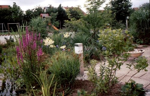 Stauden an der Terrasse