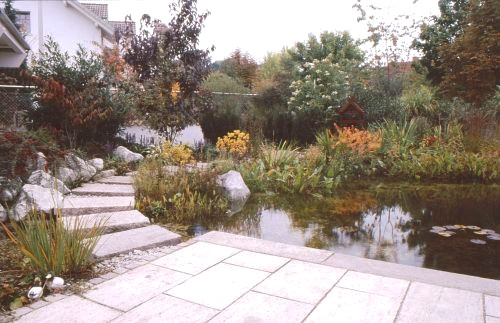 Terrasse und Teich