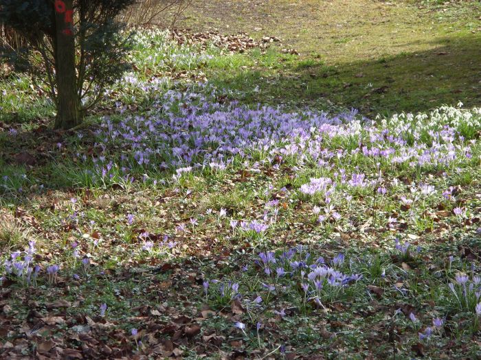 Frühling 2014