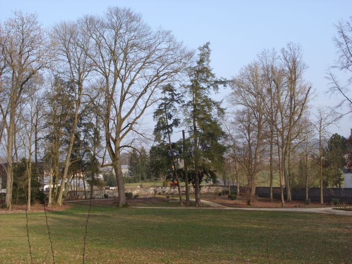 Frühling 2014