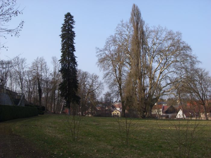 Frühling 2014