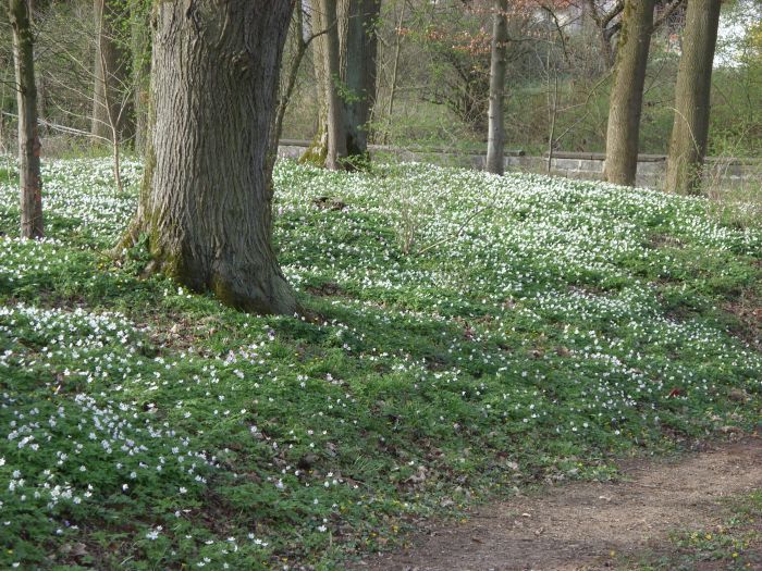 Frühling 2014