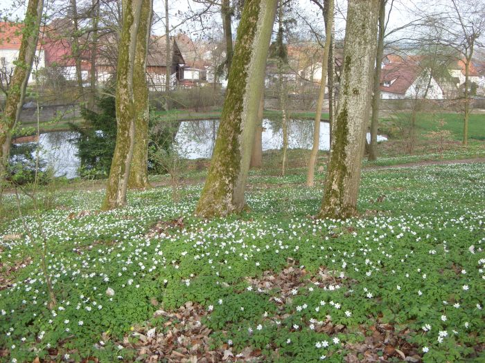 Frühling 2014