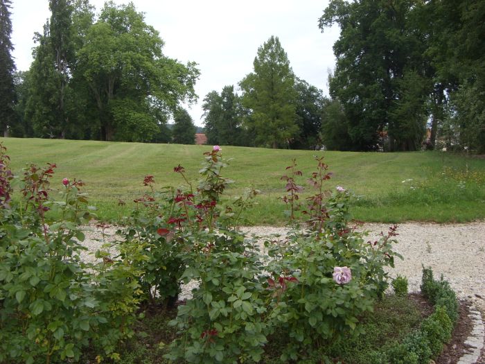 Sitzplatz Südmauer