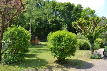 Blick vom Zugang in den Garten