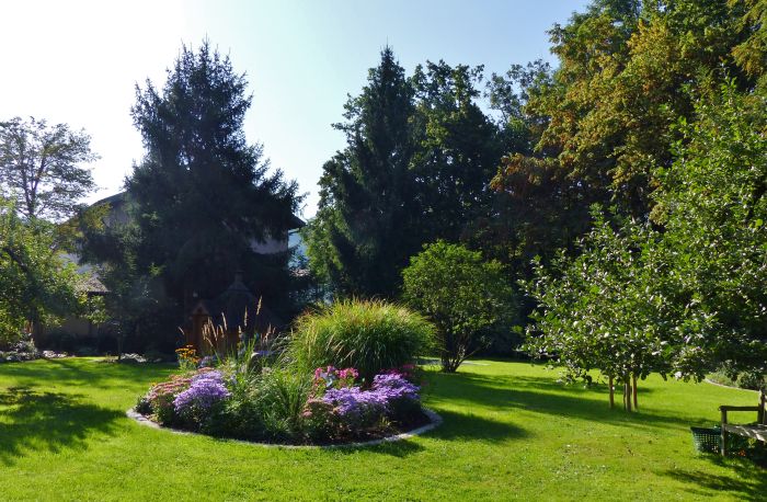 Inselbeet vor Terrasse