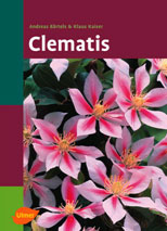 Clematis.jpg